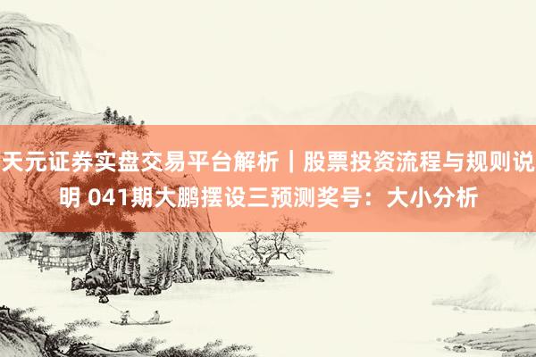 天元证券实盘交易平台解析｜股票投资流程与规则说明 041期大鹏摆设三预测奖号：大小分析