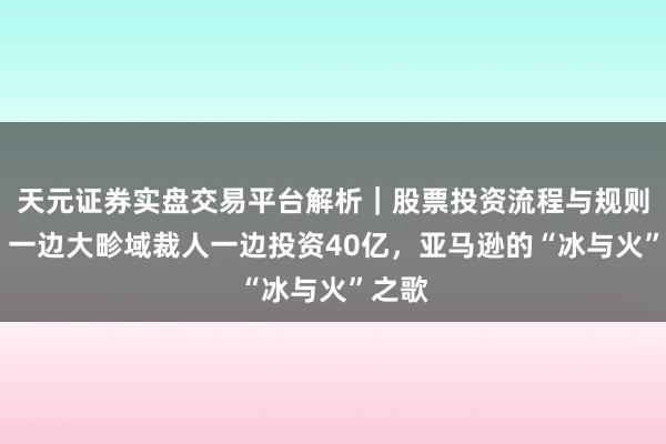 天元证券实盘交易平台解析｜股票投资流程与规则说明 一边大畛域裁人一边投资40亿，亚马逊的“冰与火”之歌