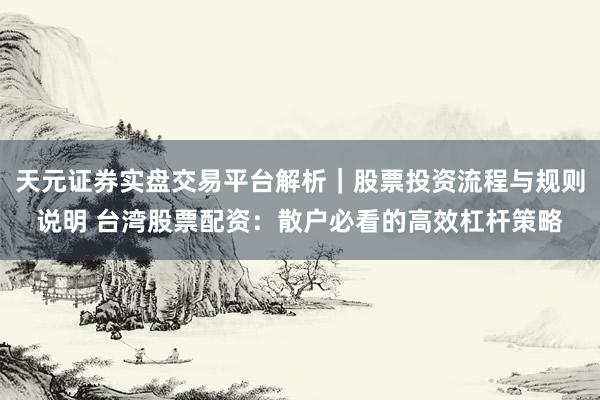 天元证券实盘交易平台解析｜股票投资流程与规则说明 台湾股票配资：散户必看的高效杠杆策略