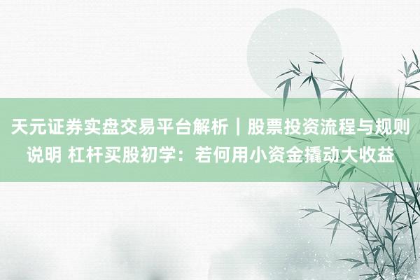 天元证券实盘交易平台解析｜股票投资流程与规则说明 杠杆买股初学：若何用小资金撬动大收益
