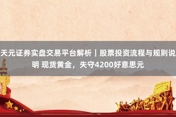天元证券实盘交易平台解析｜股票投资流程与规则说明 现货黄金，失守4200好意思元