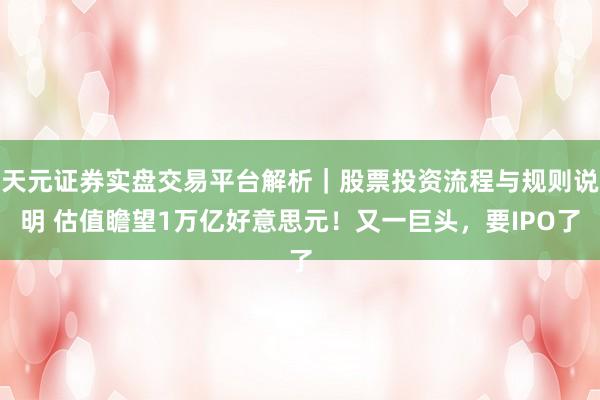 天元证券实盘交易平台解析｜股票投资流程与规则说明 估值瞻望1万亿好意思元！又一巨头，要IPO了