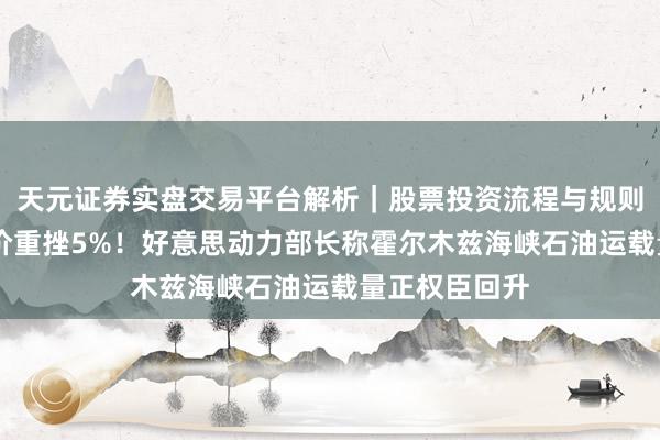 天元证券实盘交易平台解析｜股票投资流程与规则说明 国外油价重挫5%！好意思动力部长称霍尔木兹海峡石油运载量正权臣回升